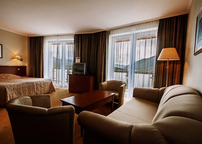 Thermal 4* Visegrád